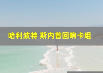 哈利波特 斯内普回响卡组